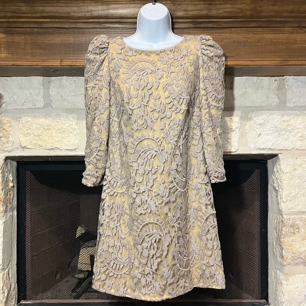 Tadashi Shoji Embroidered Nude Lace Mini Dress Size 2 XS